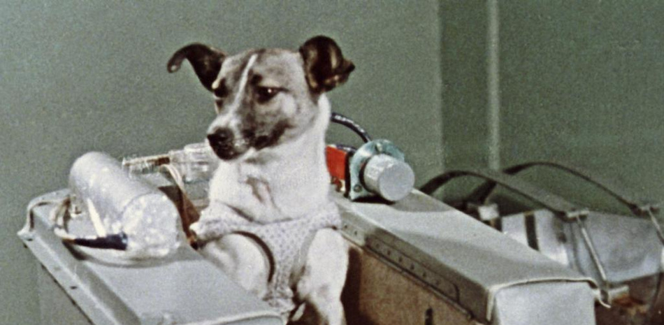 60 años después: que descanses en paz, Laika 60 años después: que descanses en paz, Laika