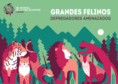 Grandes Felinos, depredadores bajo amenaza Grandes Felinos, depredadores bajo amenaza