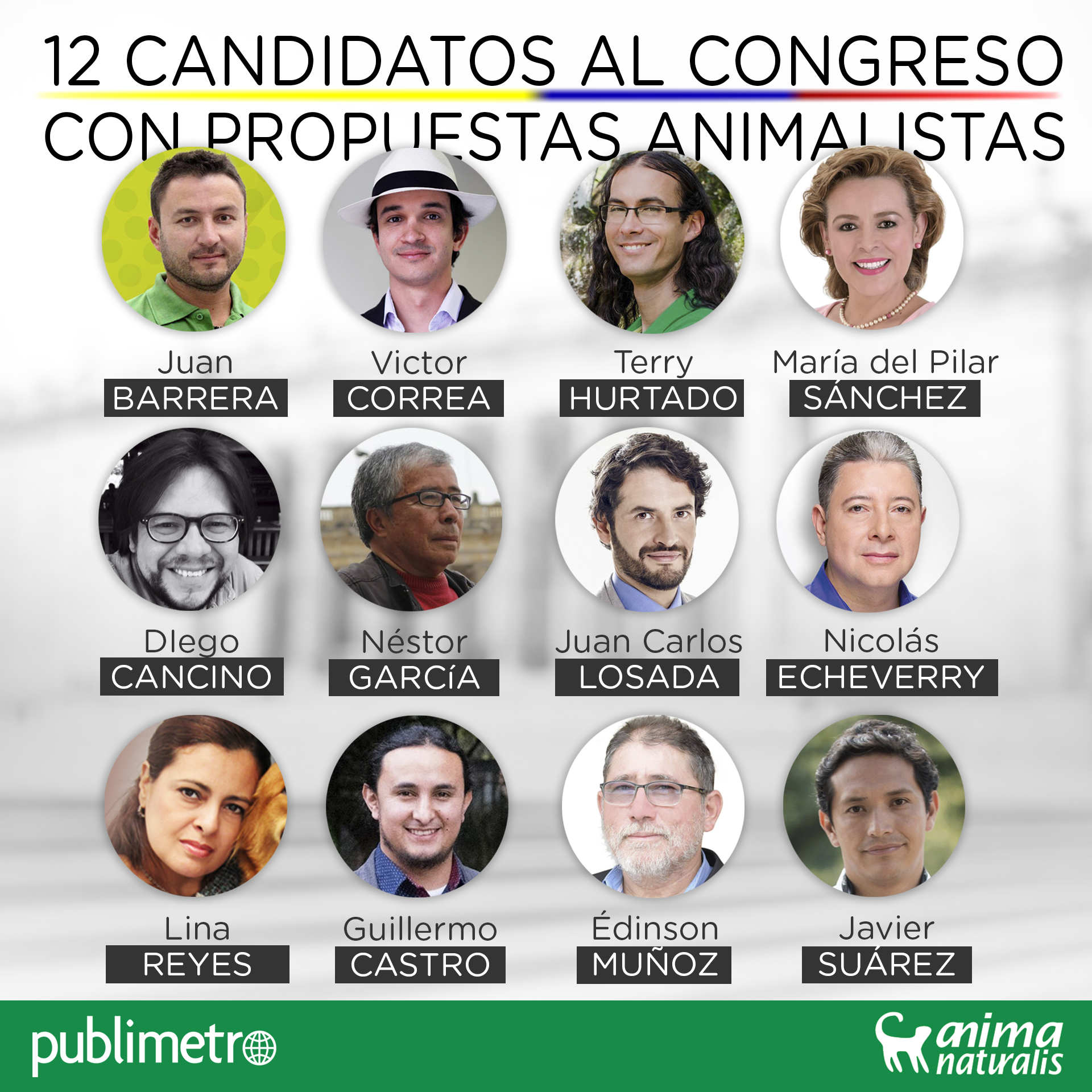 12 candidatos al Congreso con propuestas animalistas 12 candidatos al Congreso con propuestas animalistas