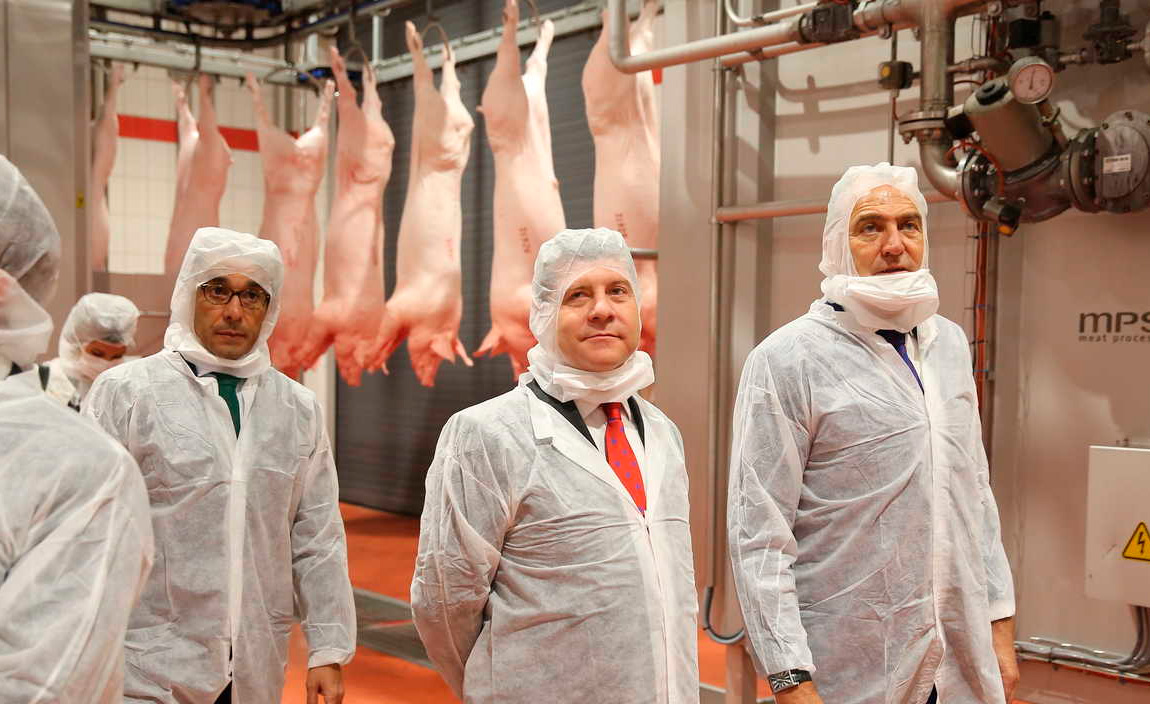 Tribunal acredita maltrato animal en un proveedor de Mercadona Tribunal acredita maltrato animal en un proveedor de Mercadona