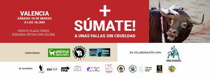 Concentración Fallas Sin Crueldad Concentración Fallas Sin Crueldad