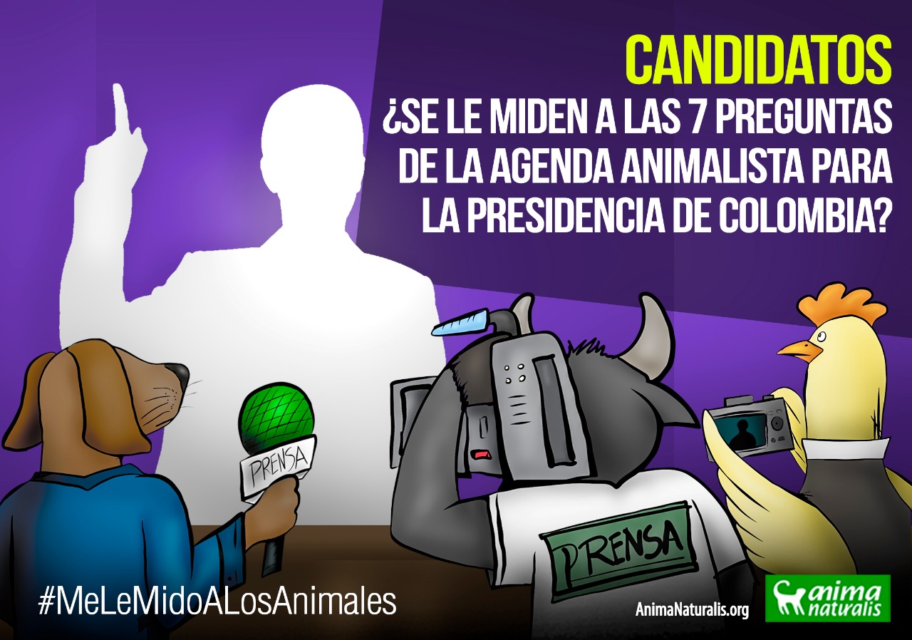 Candidatos, ¿se le miden a las 7 preguntas de la agenda animalista para la Presidencia de Colombia? Candidatos, ¿se le miden a las 7 preguntas de la agenda animalista para la Presidencia de Colombia?