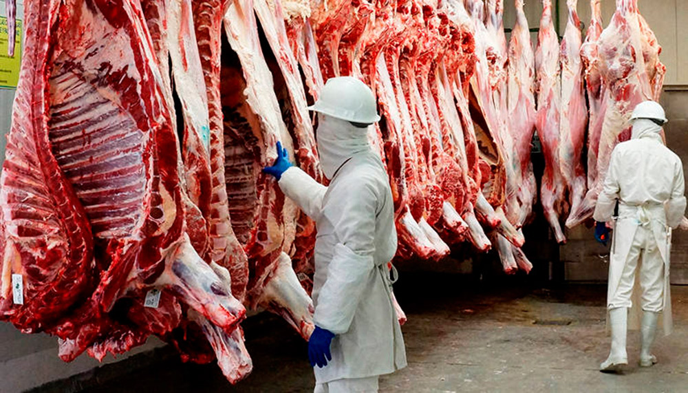 Clembuterol: el "secreto" de la carne contaminada en México Clembuterol: el "secreto" de la carne contaminada en México