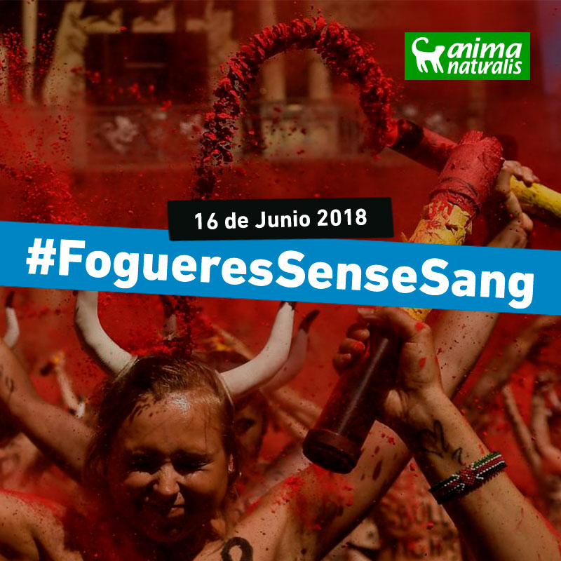 Alcemos la voz por los toros por unas fiestas sin sangre en Alicante Alcemos la voz por los toros por unas fiestas sin sangre en Alicante
