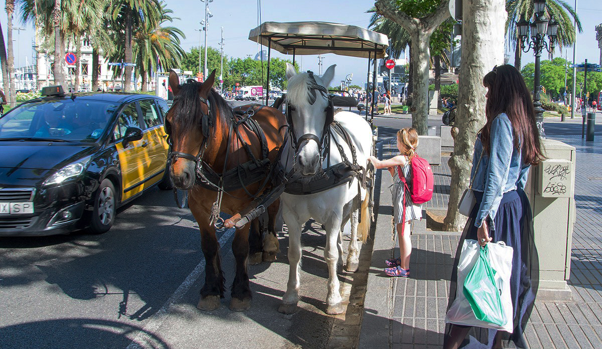 Adiós a las carrozas de caballos en Las Ramblas de Barcelona Adiós a las carrozas de caballos en Las Ramblas de Barcelona