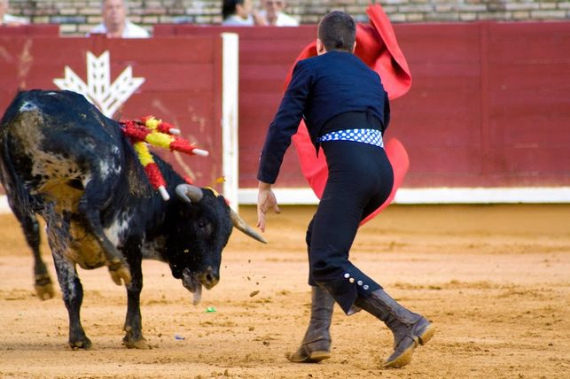 ¡Exige a la Casa de Misericordia de Pamplona que proteja de la violencia a los niños! ¡Exige a la Casa de Misericordia de Pamplona que proteja de la violencia a los niños!