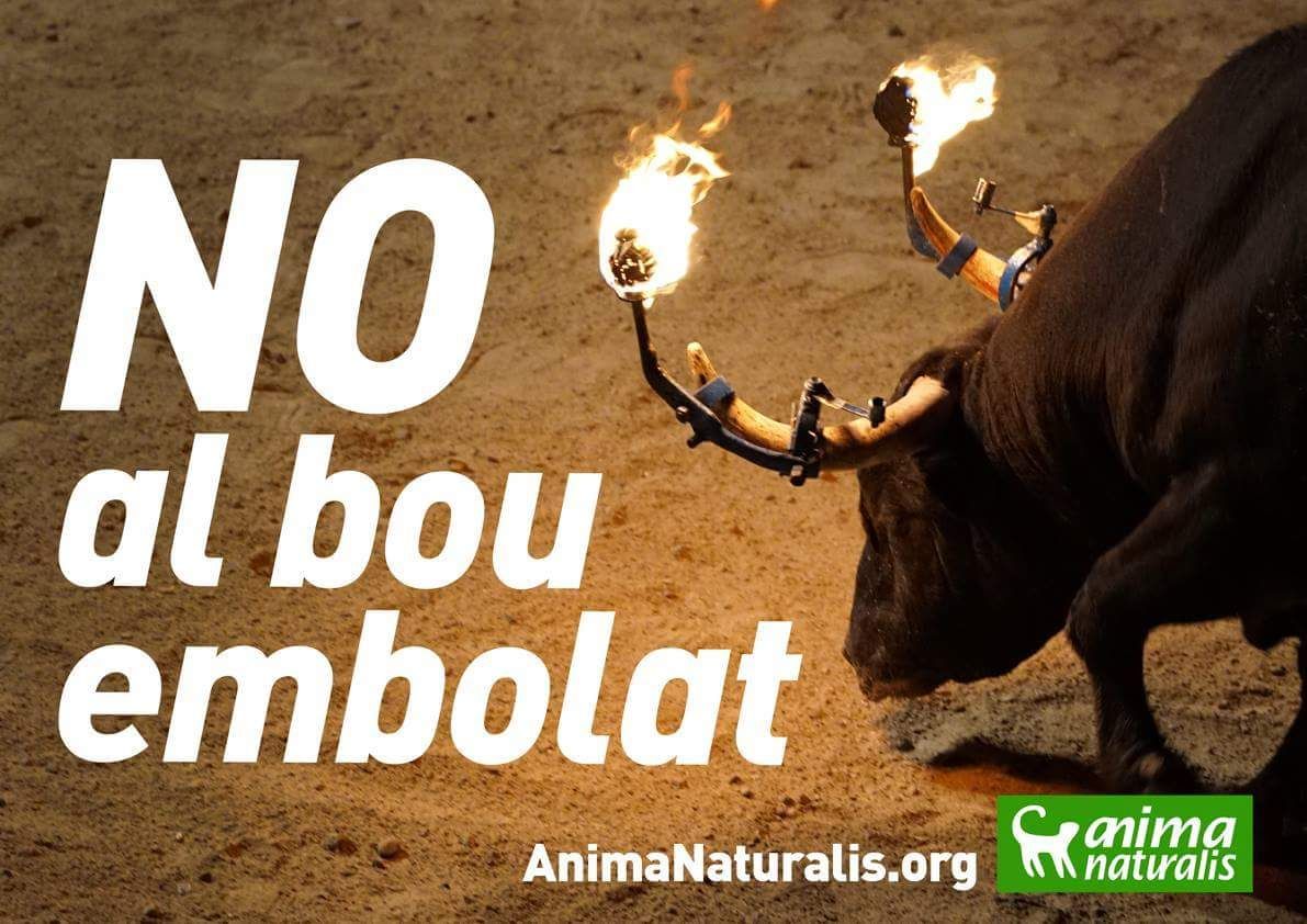 ¡Impide que vuelva a celebrarse el “bou embolat”! ¡Impide que vuelva a celebrarse el “bou embolat”!