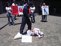 Segunda protesta contra caza de focas Segunda protesta contra caza de focas