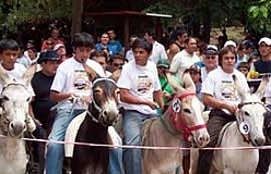 Rally de Burros: La nueva “diversión” de Mina Clavero. Cordoba. Rally de Burros: La nueva “diversión” de Mina Clavero. Cordoba.