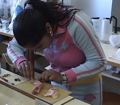 Disección de animales en aulas activa la polémica Disección de animales en aulas activa la polémica