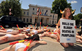 50 activistas se ponen en la piel del toro en Londres
