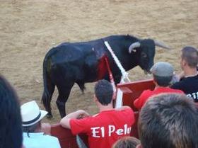 Baleares prohibe una fiesta ilegal que durante 15 años ha maltratado animales