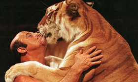 Victoria para los animales: ¡Bolivia prohibe todos los animales en los circos! Victoria para los animales: ¡Bolivia prohibe todos los animales en los circos!