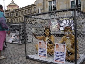 Proyecto de ley para prohibir los circos con animales en Colombia