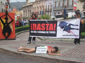 Exitosas protestas contra la tauromaquia en Festival Cervantino