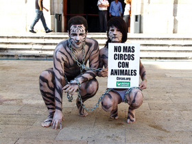Activistas protestan en Tarragona contra los circos con animales