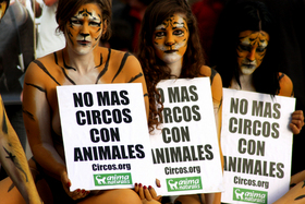 Activistas piden en Madrid el fin de los circos con animales