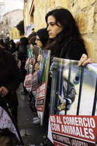 AnimaNaturalis protestó contra el comercio de animales en Mallorca