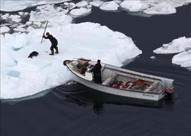 La caza de focas deja de ser rentable