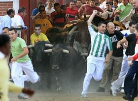 ¡Apoya la campaña para impedir que haya toros en las "Xiqueñadas"!
