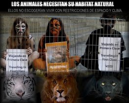 Acompáñanos en Barquisimeto contra los circos con animales Acompáñanos en Barquisimeto contra los circos con animales