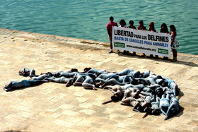 AnimaNaturalis lanza en Mallorca su nueva campaña por el cierre de delfinarios
