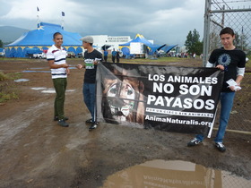 Activistas en Michoacán se plantaron frente al Zavara Circus Activistas en Michoacán se plantaron frente al Zavara Circus
