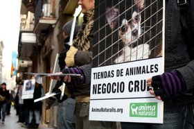 Acto informativo en Barcelona frente a las tiendas de animales
