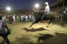 Nicaragua también prohíbe las corridas de toros