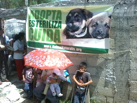 Campaña de esterilización favorece a más de 140 animales en el Estado de México Campaña de esterilización favorece a más de 140 animales en el Estado de México