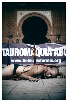 AnimaNaturalis en Madrid contra las visitas escolares a 'Las Ventas' AnimaNaturalis en Madrid contra las visitas escolares a 'Las Ventas'