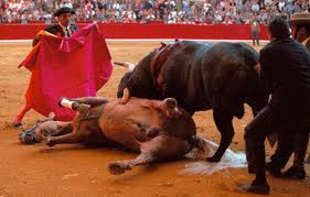 ¡PAN organiza corrida de toros para promover a candidatos en Guanajuato! ¡PAN organiza corrida de toros para promover a candidatos en Guanajuato!