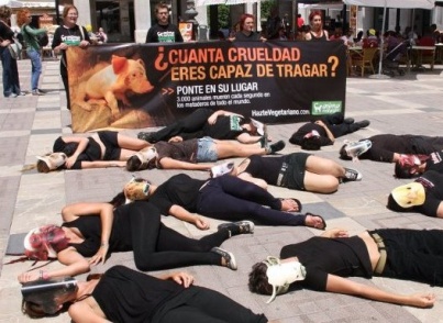 Performance en Palma de Mallorca por una alimentación sin crueldad animal Performance en Palma de Mallorca por una alimentación sin crueldad animal