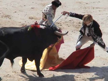 ¡Apoya la iniciativa para prohibir corridas de toros en San Luis PotosÃ! ¡Apoya la iniciativa para prohibir corridas de toros en San Luis PotosÃ!