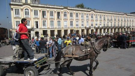 Caballos carretilleros de Bogotá buscan hogar ¡Dales una oportunidad! Caballos carretilleros de Bogotá buscan hogar ¡Dales una oportunidad!