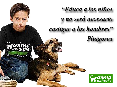 Celebraremos el DÃa del Niño educando sobre el trato a los animales Celebraremos el DÃa del Niño educando sobre el trato a los animales