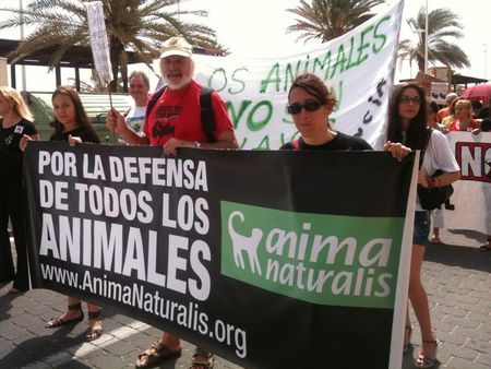 ¡Multitudinaria manifestación antitaurina en GandÃa! ¡Multitudinaria manifestación antitaurina en GandÃa!