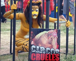 ProhÃben los Circos con Animales en Entre RÃos ProhÃben los Circos con Animales en Entre RÃos