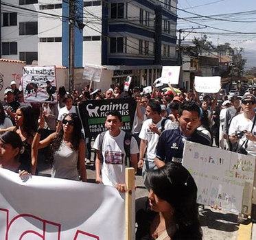 Firma la petición para solicitar un Referéndum Consultivo para prohibir las Corridas de Toros en Mérida Firma la petición para solicitar un Referéndum Consultivo para prohibir las Corridas de Toros en Mérida