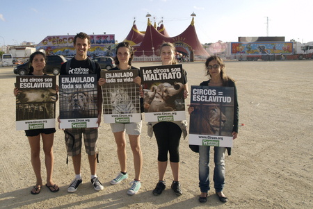 AnimaNaturalis protestó contra elCirco Alaska en Cádiz AnimaNaturalis protestó contra elCirco Alaska en Cádiz