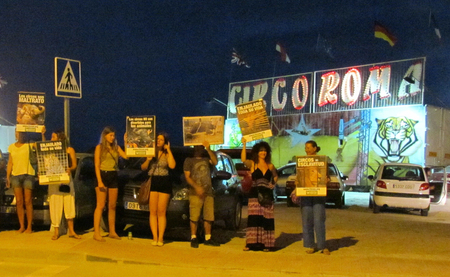 AnimaNaturalis vuelve a concentrarse en Ibiza contra el Circo Roma AnimaNaturalis vuelve a concentrarse en Ibiza contra el Circo Roma