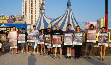 Contra los circos con animales, ¡también en Alicante! Contra los circos con animales, ¡también en Alicante!