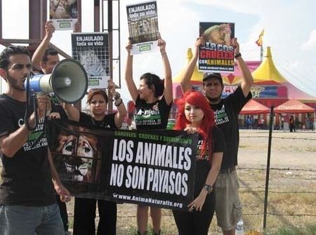 Activistas protestan contra "Circo Atayde Hermanos" en Monterrey Activistas protestan contra "Circo Atayde Hermanos" en Monterrey