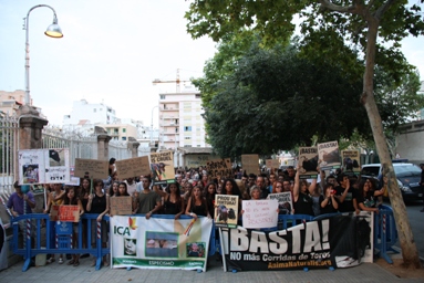Más de 300 personas muestran su rechazo ante la tauromaquia en Palma de Mallorca Más de 300 personas muestran su rechazo ante la tauromaquia en Palma de Mallorca
