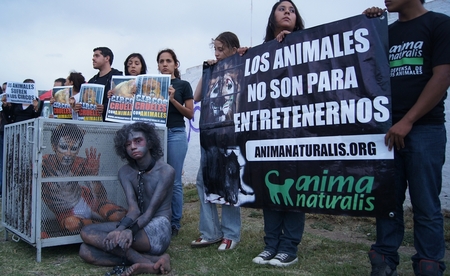 ¡Exitosa protesta de AnimaNaturalis frente al "Circo Franzatti" en Durango! ¡Exitosa protesta de AnimaNaturalis frente al "Circo Franzatti" en Durango!