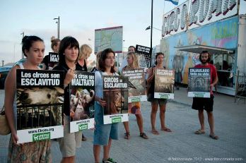 ¡Exitosas protestas de AnimaNaturalis frente al Circo Roma en Ibiza! ¡Exitosas protestas de AnimaNaturalis frente al Circo Roma en Ibiza!