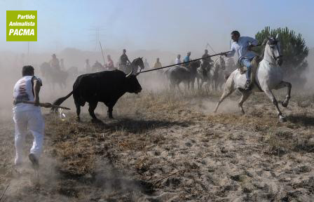 Las protestas crecen ante el toro de la vega de 2012 Las protestas crecen ante el toro de la vega de 2012