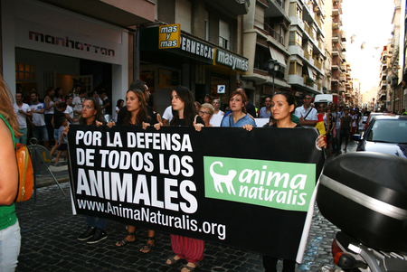 Cientos de personas se manifiestan contra las Becerradas de Algemesà Cientos de personas se manifiestan contra las Becerradas de AlgemesÃ