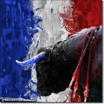 Francia decide hoy si las corridas de toros deben ser prohibidas Francia decide hoy si las corridas de toros deben ser prohibidas