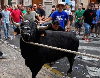 Maltratar toros en Cataluña estará permitido si es tradicional